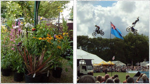 taunton flower show...