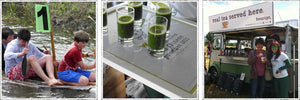 matcha energy fuels the Lowland Games
