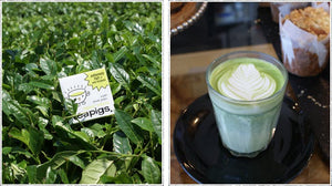 Marvellous matcha