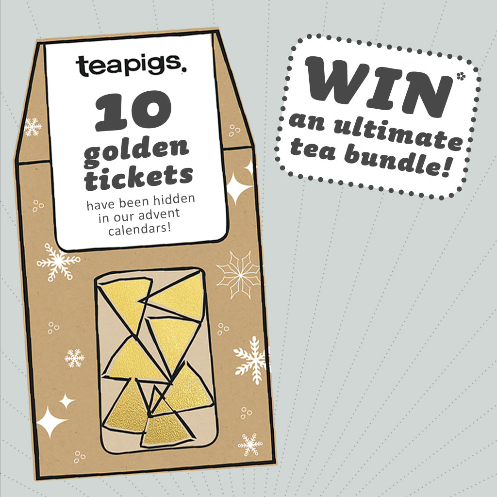 tea advent calendar teapigs