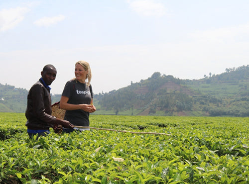 teapigs founder louise in a tea field