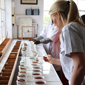 teapigs founder louise tea tasting