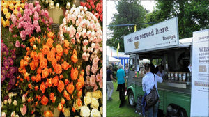 Taunton Flower Show 2012