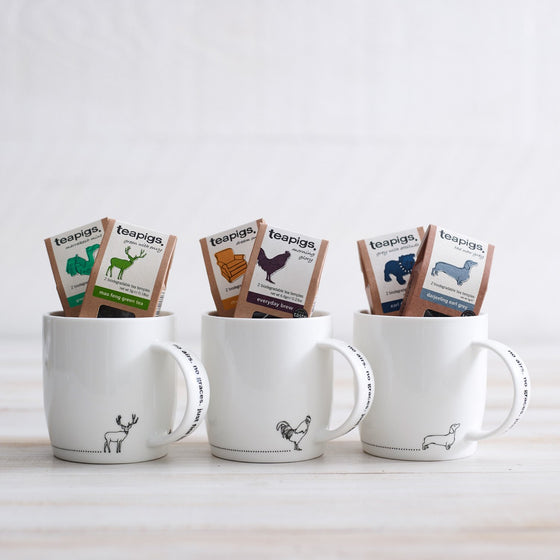 Tea Gift Sets Gifts teapigs