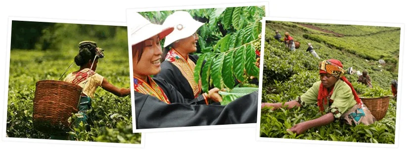 Sustainability 2